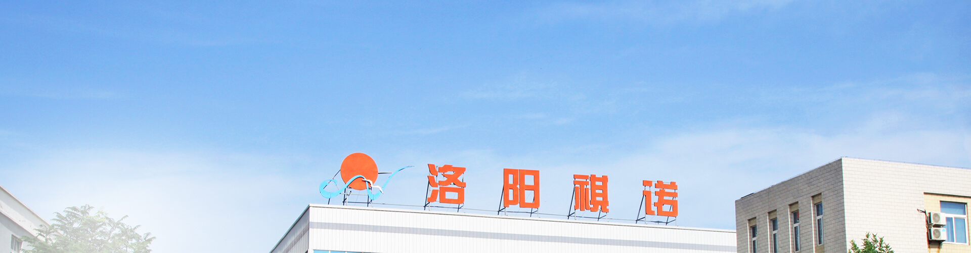 公司動(dòng)態(tài)